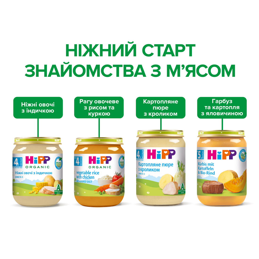 Органічне пюре  «Овочеве рагу з рисом та куркою»  HiPP