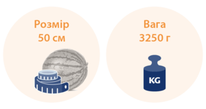 39 тижнів вагітності