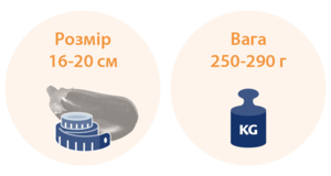 20 тижнів вагітності