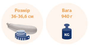 27 тижнів вагітності