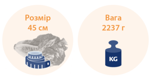 34 тижні вагітності