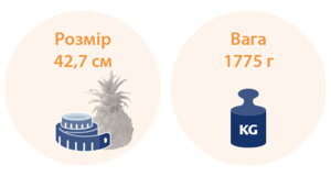 32 тижні вагітності