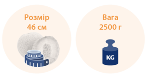 35 тижнів вагітності