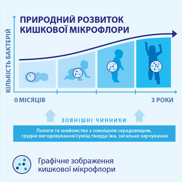 графічне зображення кишкової мікрофлори