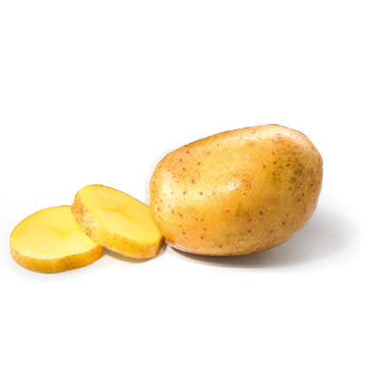 Картопля