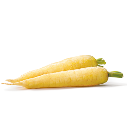 Біла морква