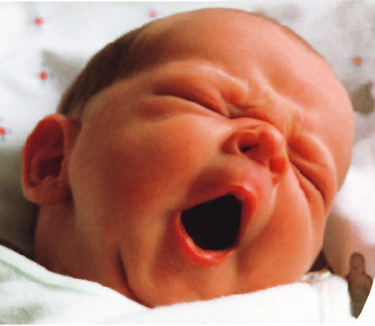 що вміє дитина у 2 місяці